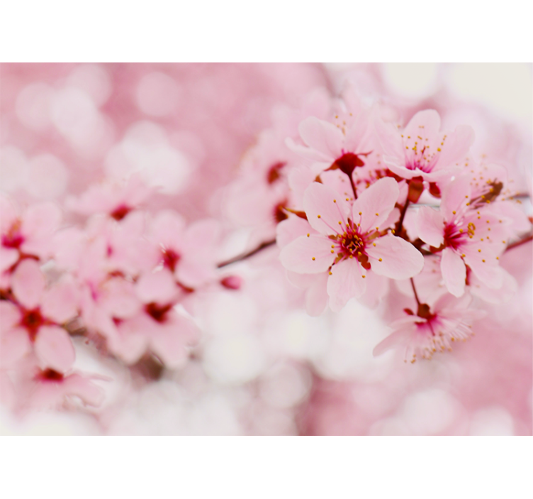 Pink bloom Photography art Flower blind - TenStickers