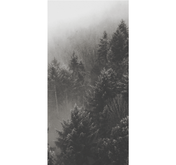 Forest with white pines original roller blind - TenStickers