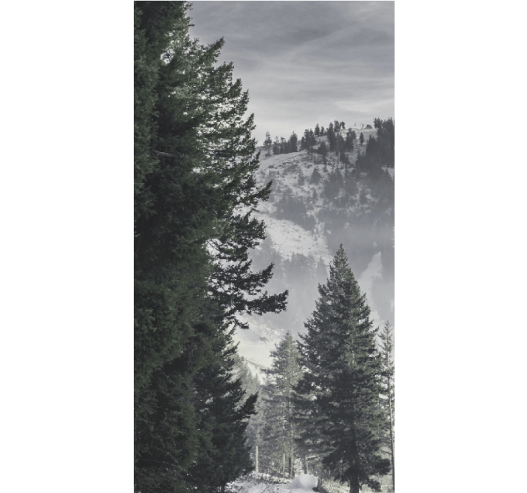 Majestic Mountain Pines tree roller blind - TenStickers