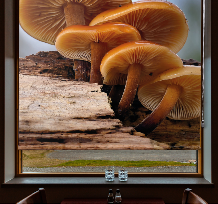 Orange peel wild mushroom Blind painting - TenStickers