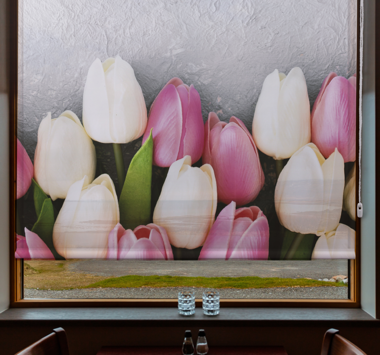 White and pink tulips Flower blind - TenStickers