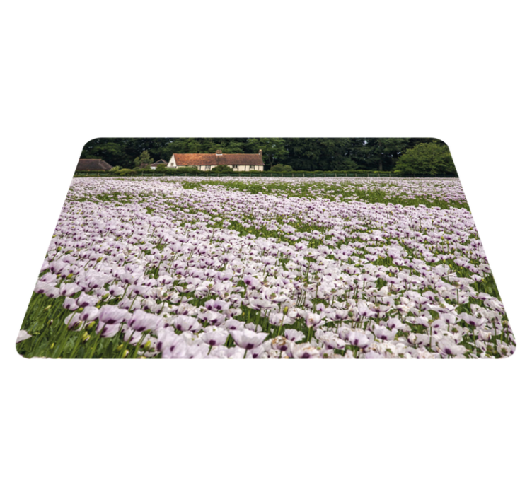 Original placemats lavender flower field - TenStickers