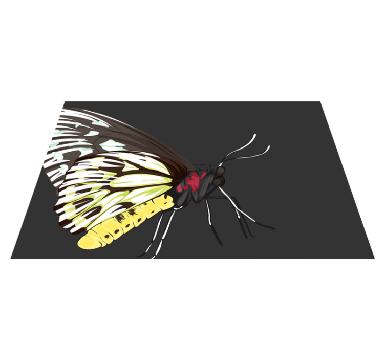 Realistic detailed butterfly Vinyl placemats - TenStickers