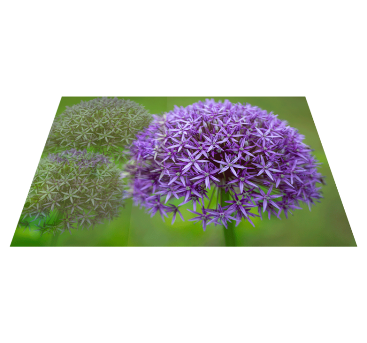 Vibrant purple flowers placemats - TenStickers