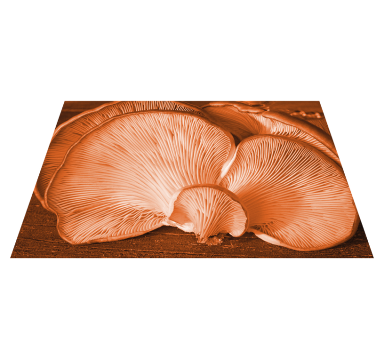 Mushroom kitchen elements placemats - TenStickers