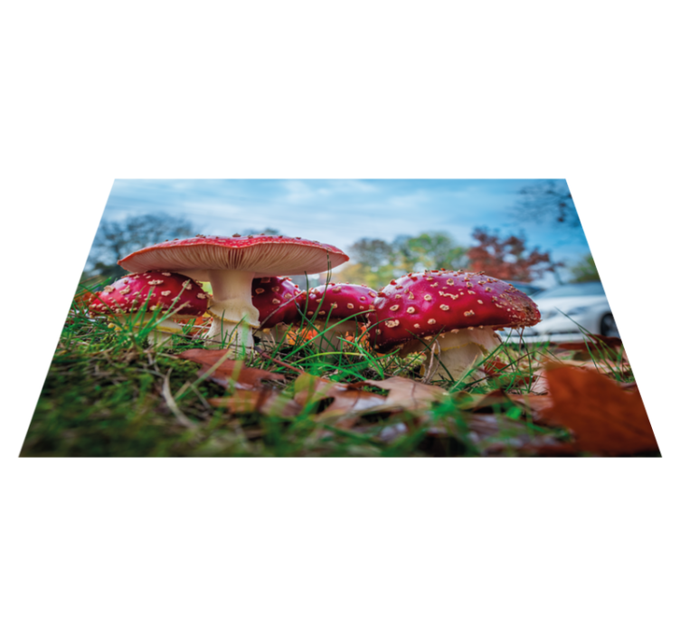 Red fly mushroom modern placemats - TenStickers