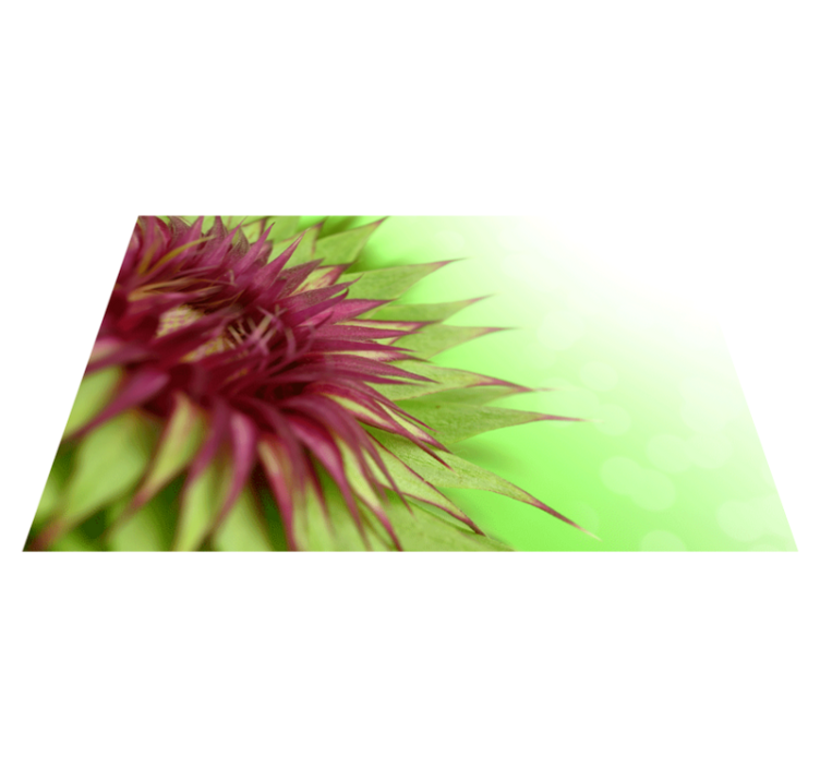 ThistleThistle is a prickly flowering plant that is a part of the - TenStickers