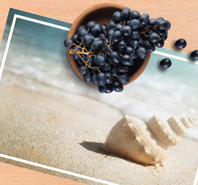 Elegant shell display original placemats - TenStickers