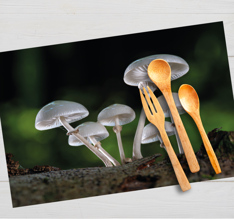 Wild oyster mushrooms modern placemats - TenStickers