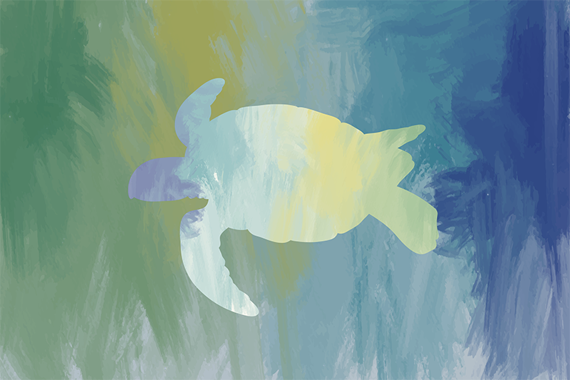 Watercolor sea turtle animal placemats - TenStickers