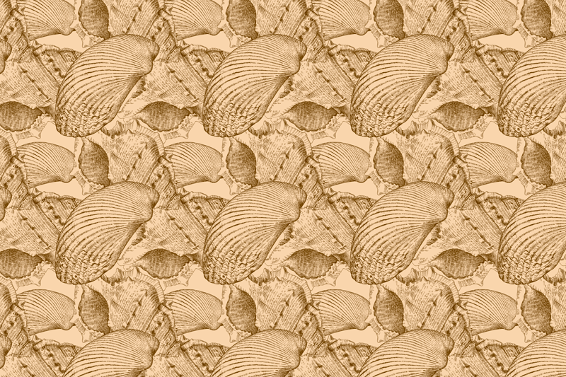 Shell texture surface placemats - TenStickers