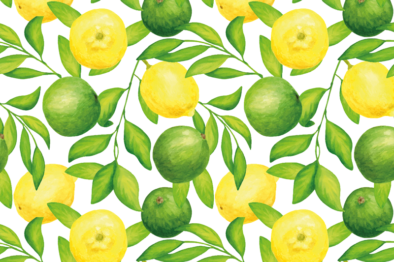 Original placemats fresh citrus design - TenStickers