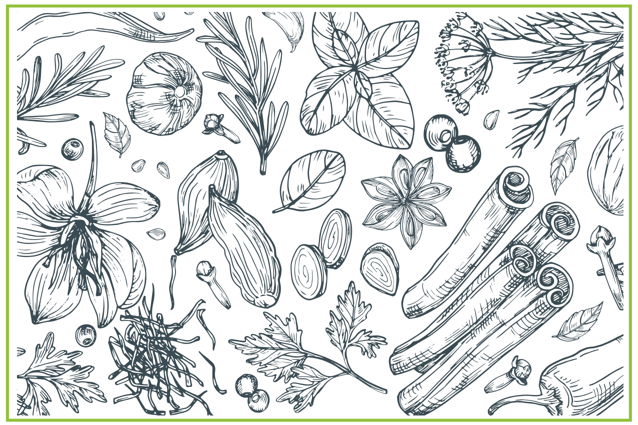 Herb pattern background placemats - TenStickers
