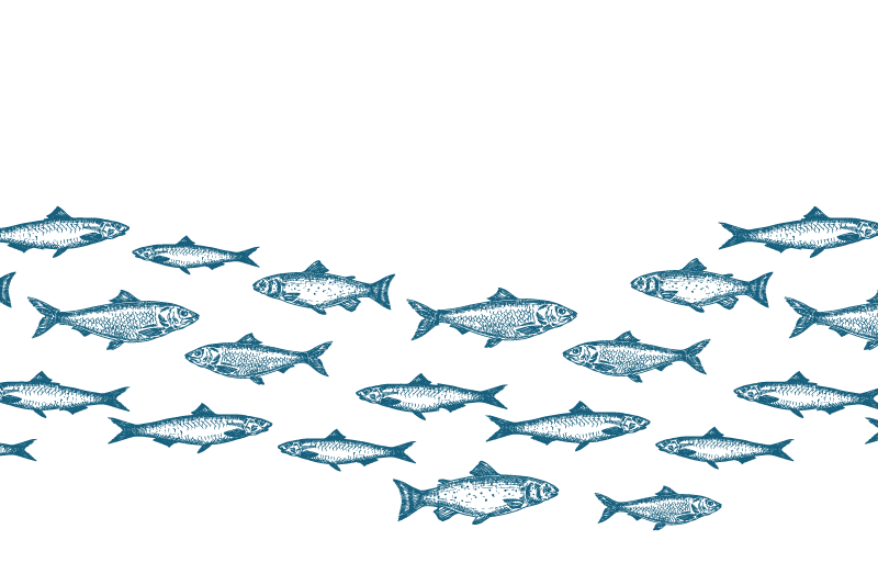 School of fish wave Vinyl placemats - TenStickers