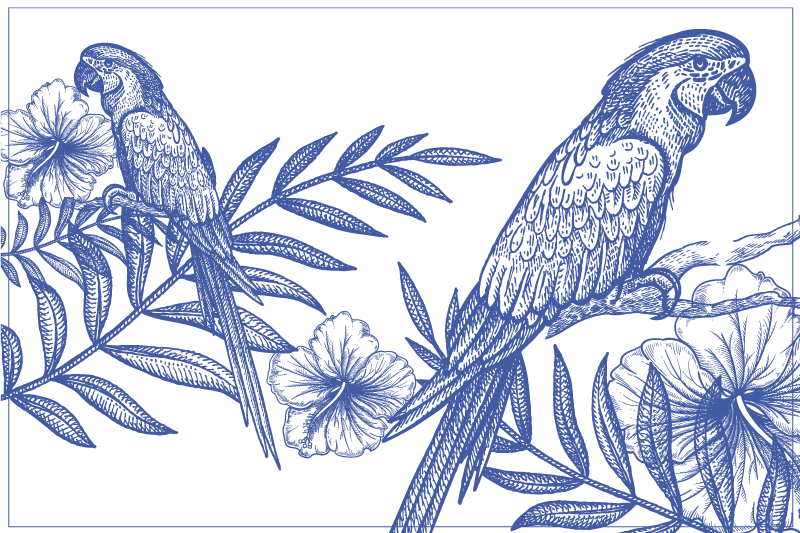 Original placemats elegant parrots design - TenStickers