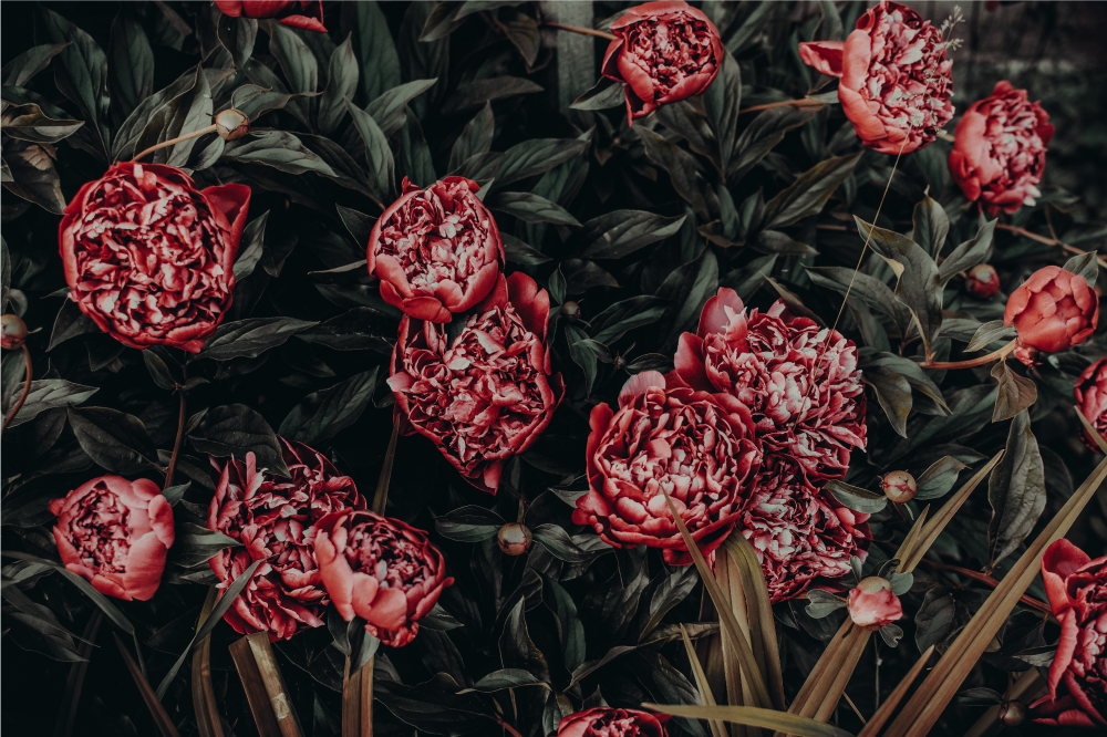 Vibrant floral display placemats - TenStickers