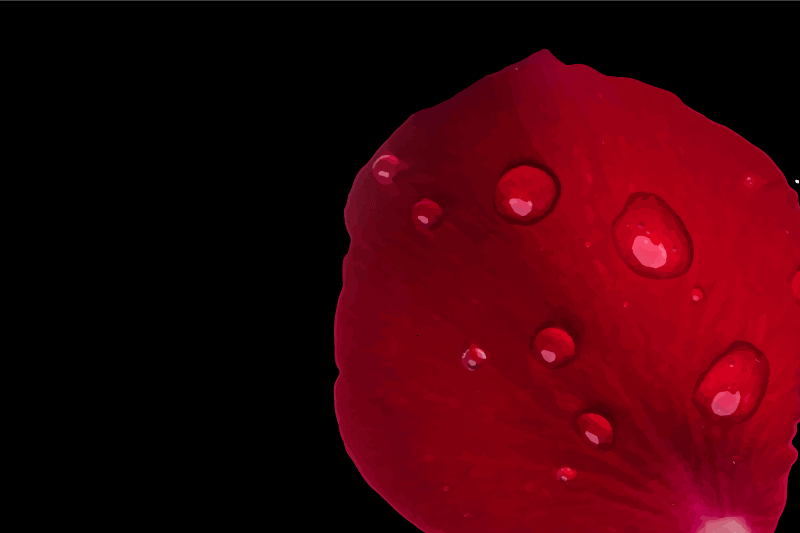 Red petal surface placemats - TenStickers