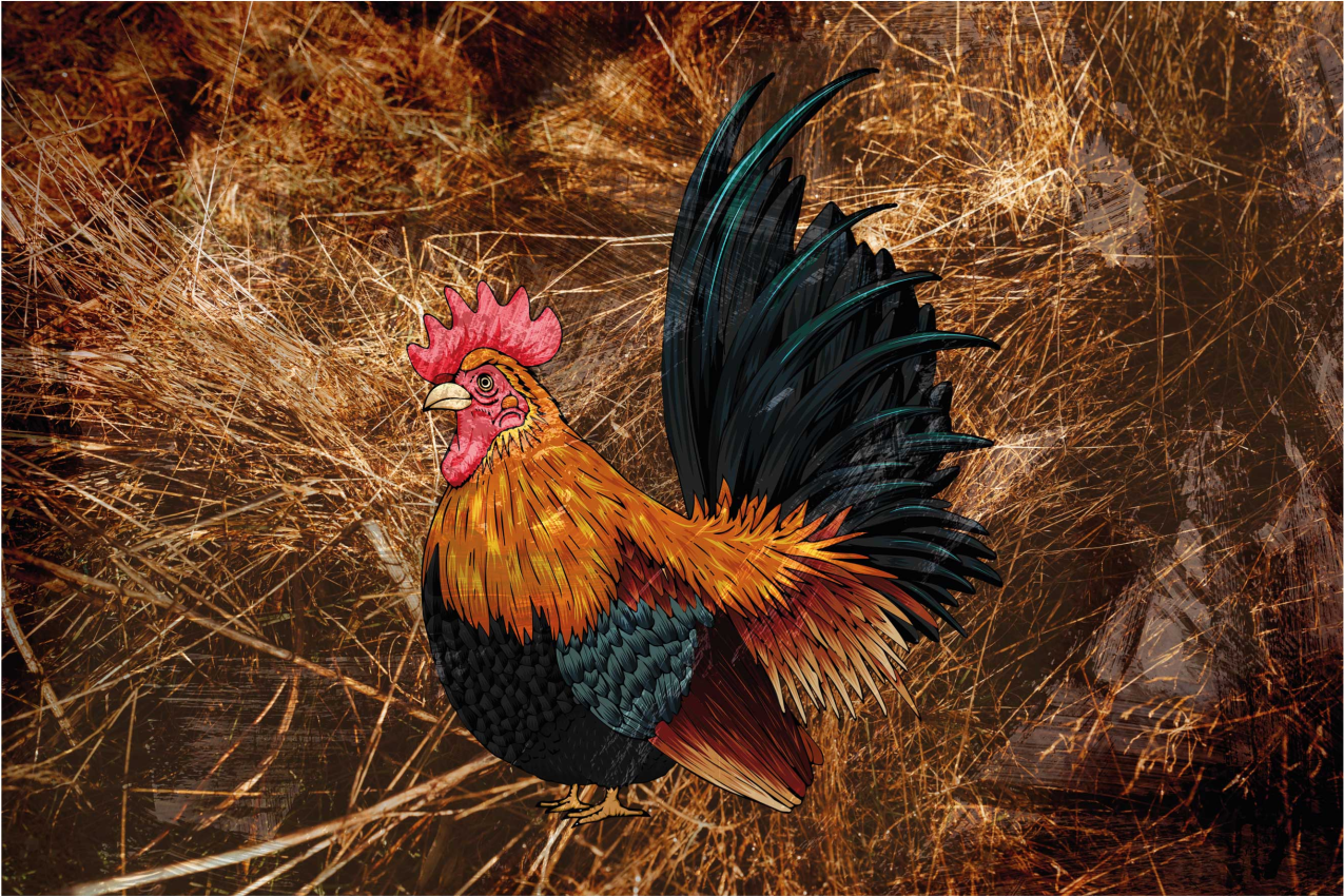 Original placemats with colorful rooster artwork - TenStickers