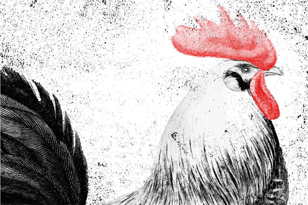 Original placemats rooster illustration - TenStickers