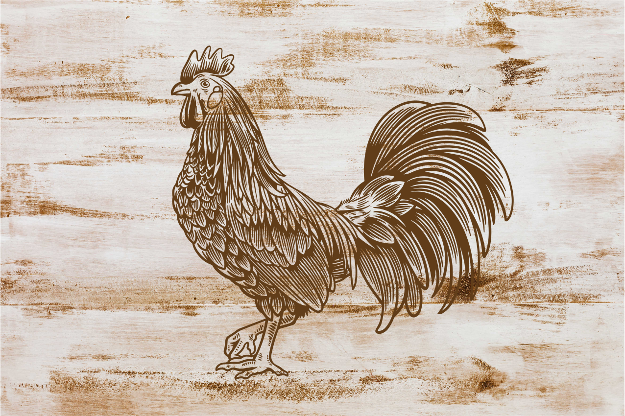 Vintage illustration of rooster placemats - TenStickers