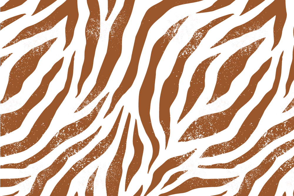Brown zebra animal print original placemats - TenStickers