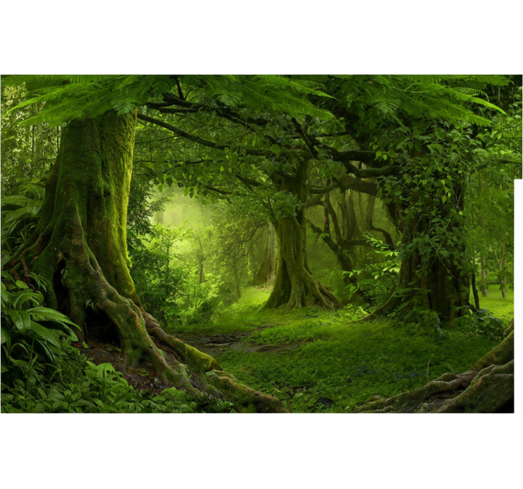 Forest wall mural lush woodland retreat - TenStickers