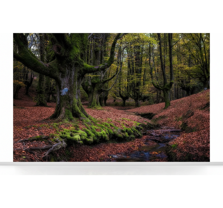 Enchanted autumn forest forest wall mural - TenStickers