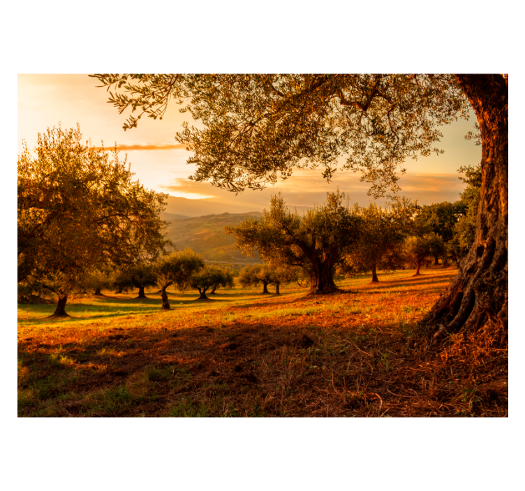 Mediterranean Grove landscape mural wallpaper - TenStickers