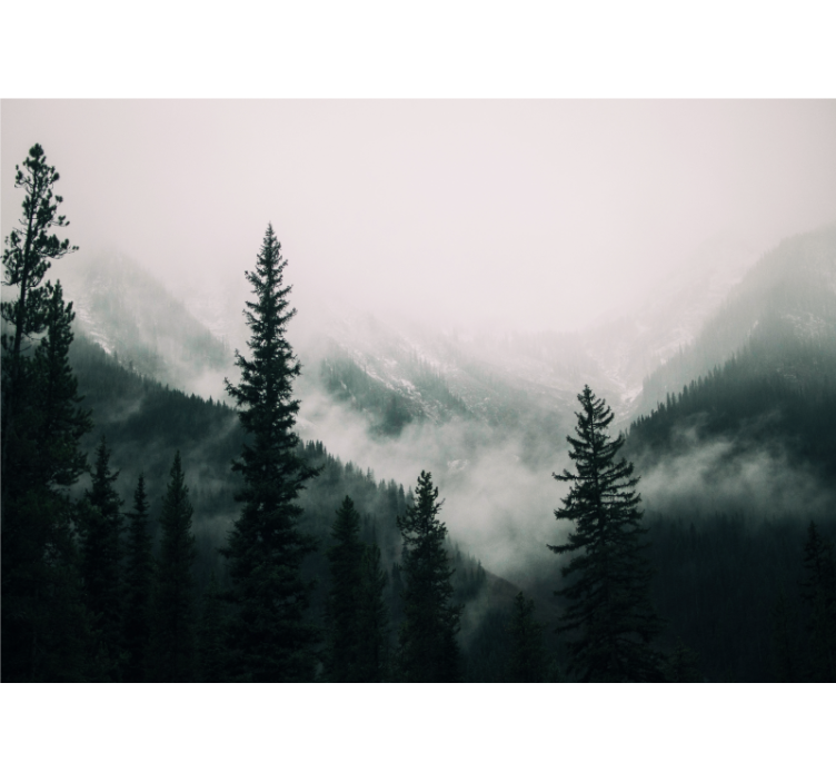 Misty Mountain Landscape forest wall mural - TenStickers
