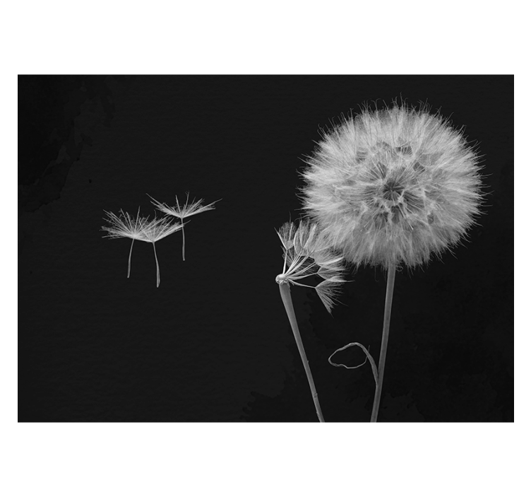 Elegant silhouettes dandelion mural - TenStickers
