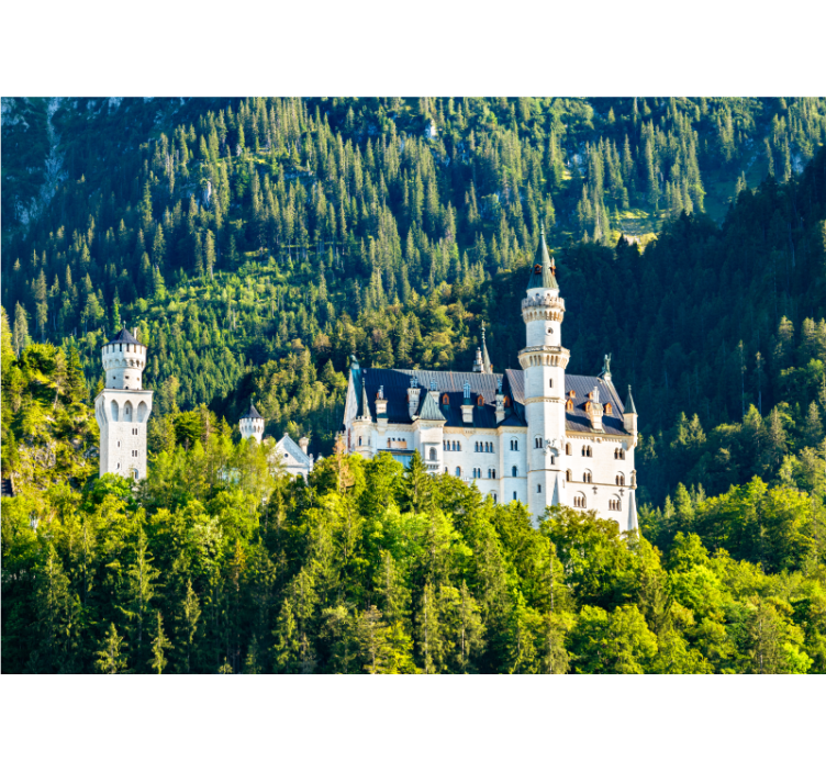 City wall mural neuschwanstein castle view - TenStickers