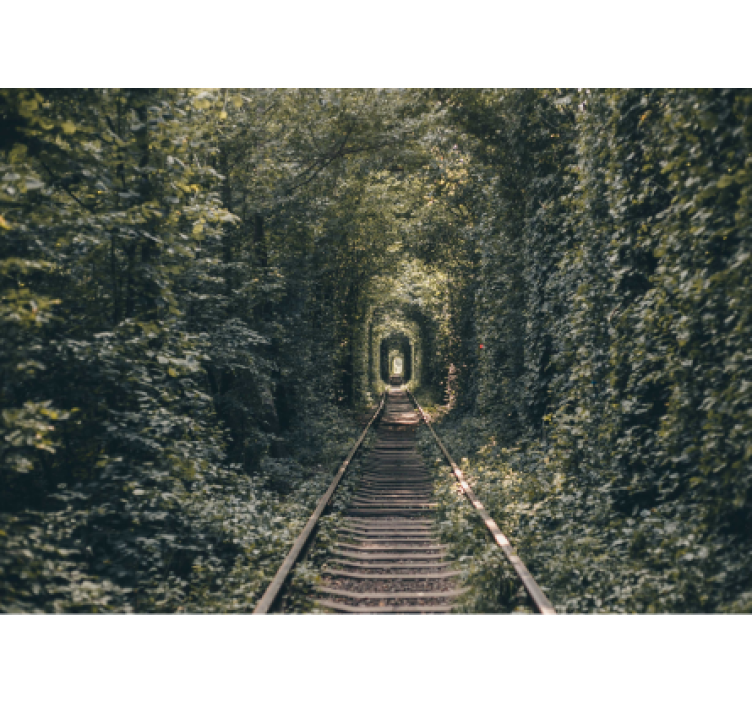 Forest Tunnel Path landscape mural wallpaper - TenStickers