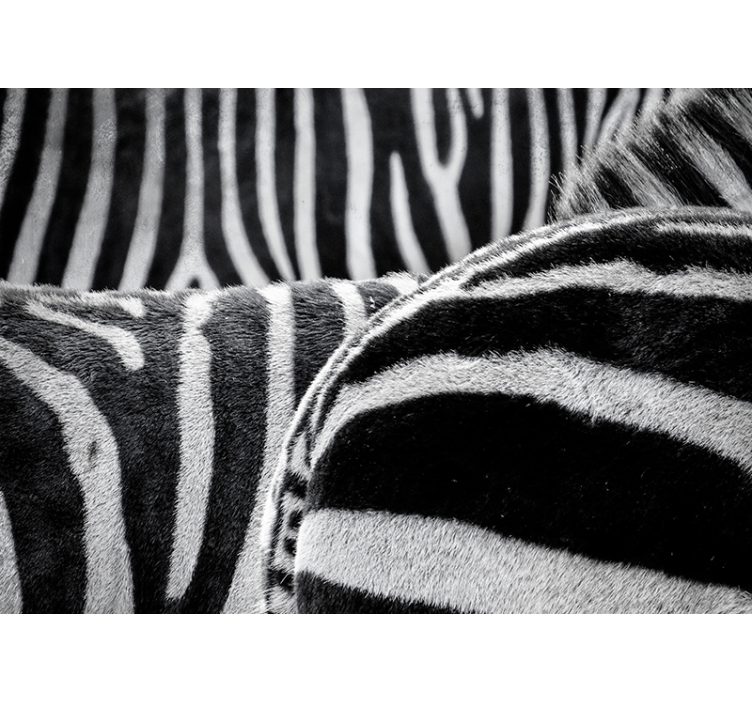 Realistic zebras stripes animal wall mural - TenStickers