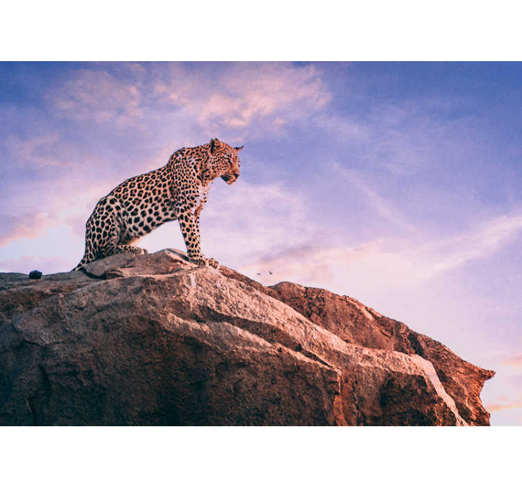 Leopard sunset wall mural - TenStickers