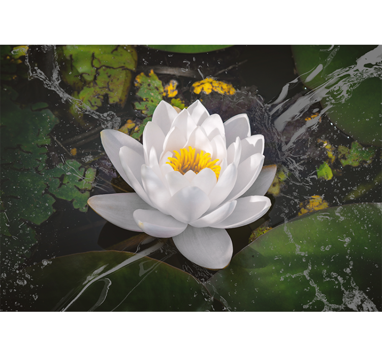Flower mural lotus flower peacefulness - TenStickers
