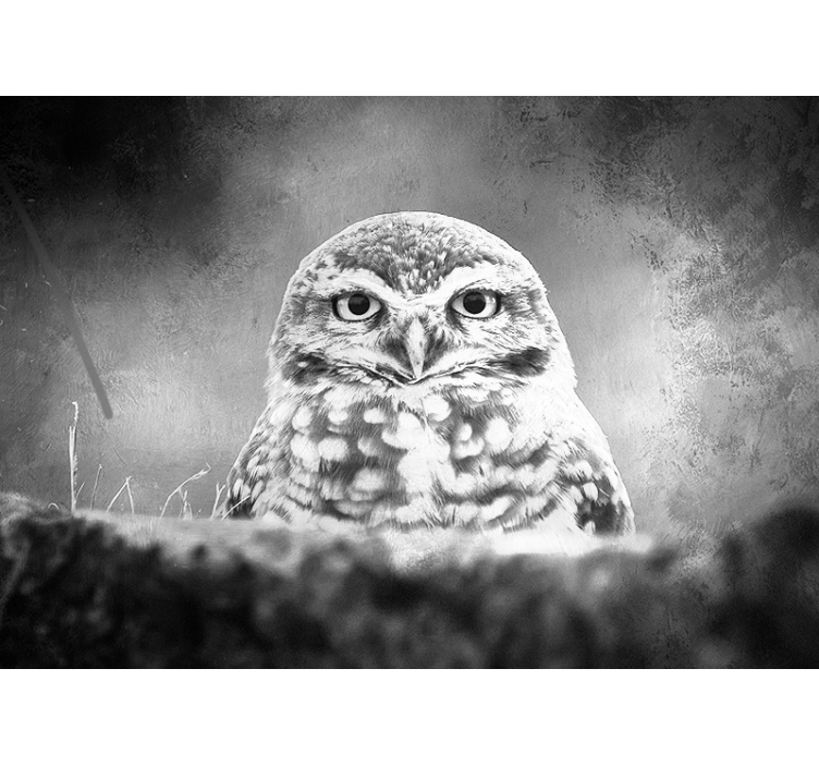 Majestic Owl Portrait animal wall mural - TenStickers