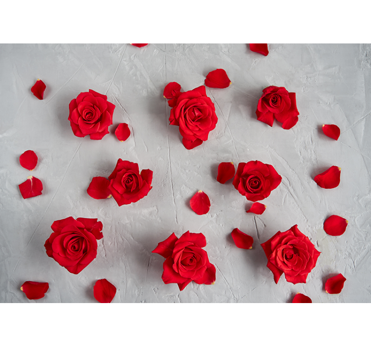 Red Rose Petals flower mural - TenStickers