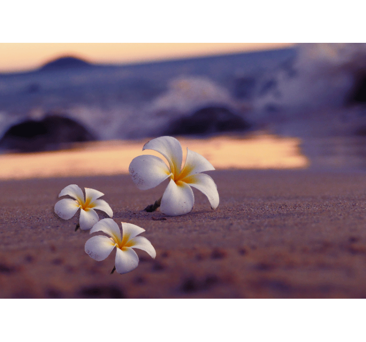 Poppy wall mural tropical flower trio - TenStickers