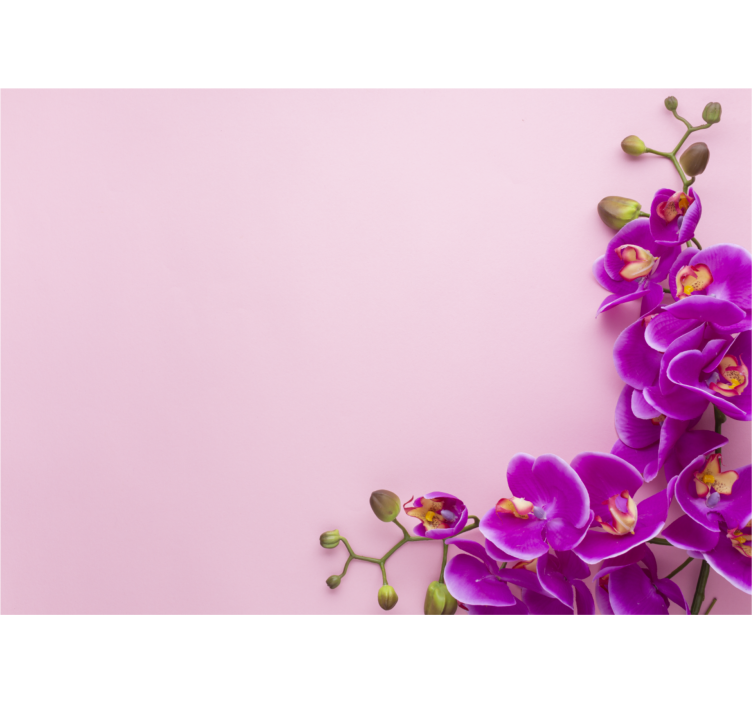 Orchid mural orchid floral composition - TenStickers
