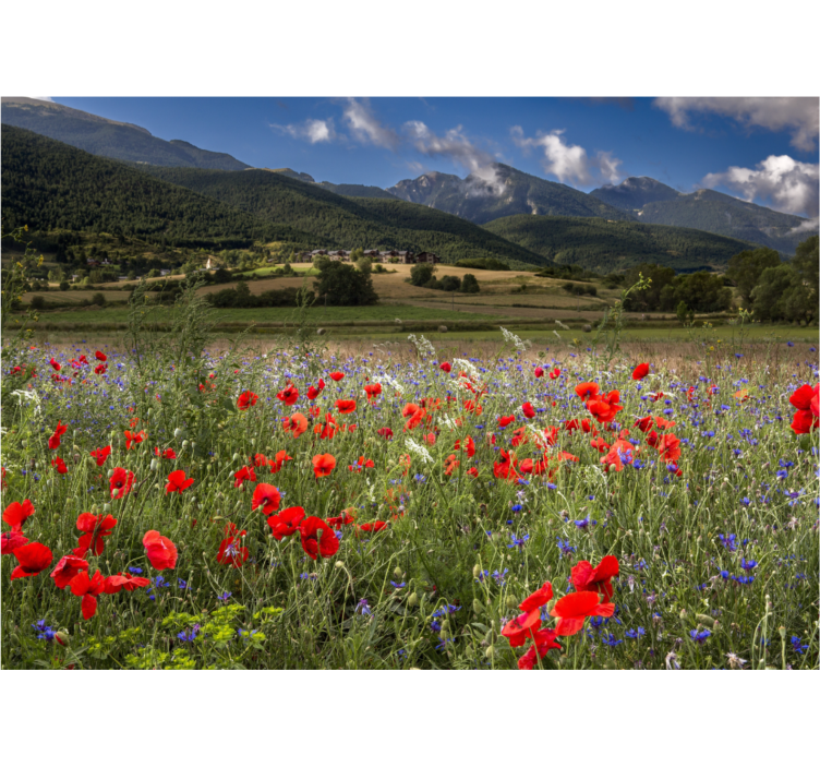 Flower mural poppy meadow scene - TenStickers