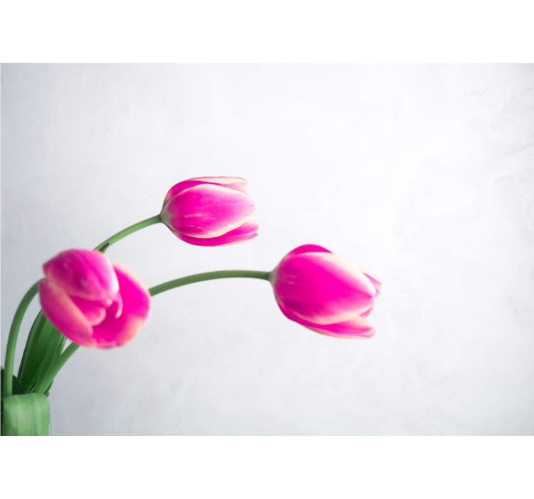 Poppy wall mural blossoms of pink tulips - TenStickers