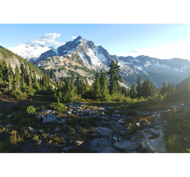 Beautiful mountain landscape wall mural - TenStickers