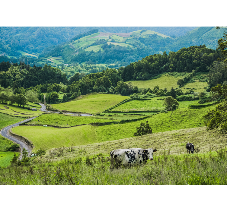 Landscape mural wallpaper rolling green fields - TenStickers