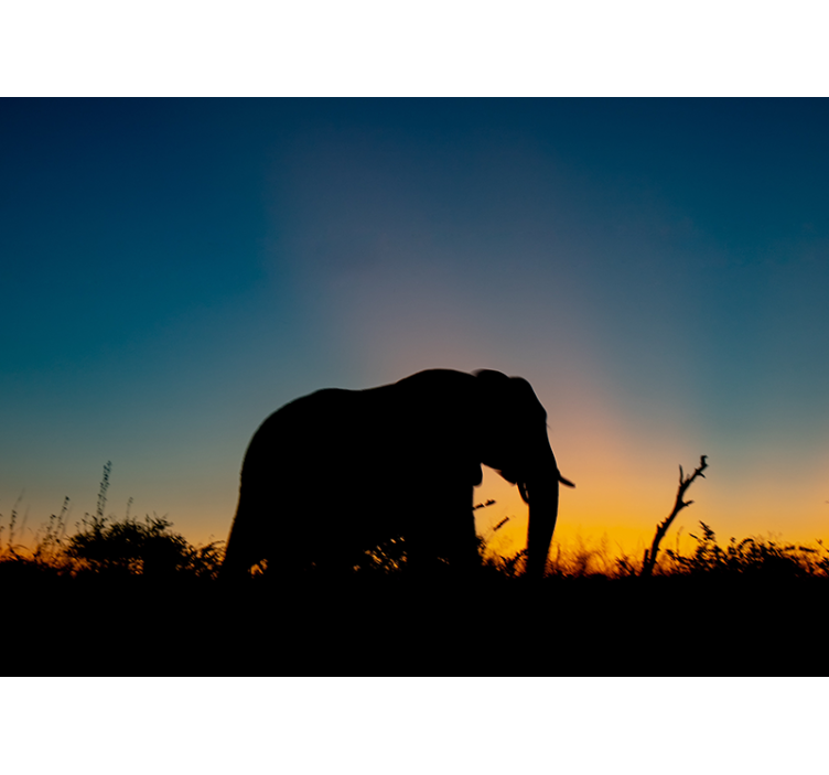 Animal wall mural elephant silhouette sunset - TenStickers