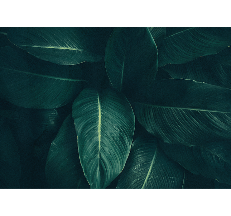 Nature wall mural lush leafy design - TenStickers