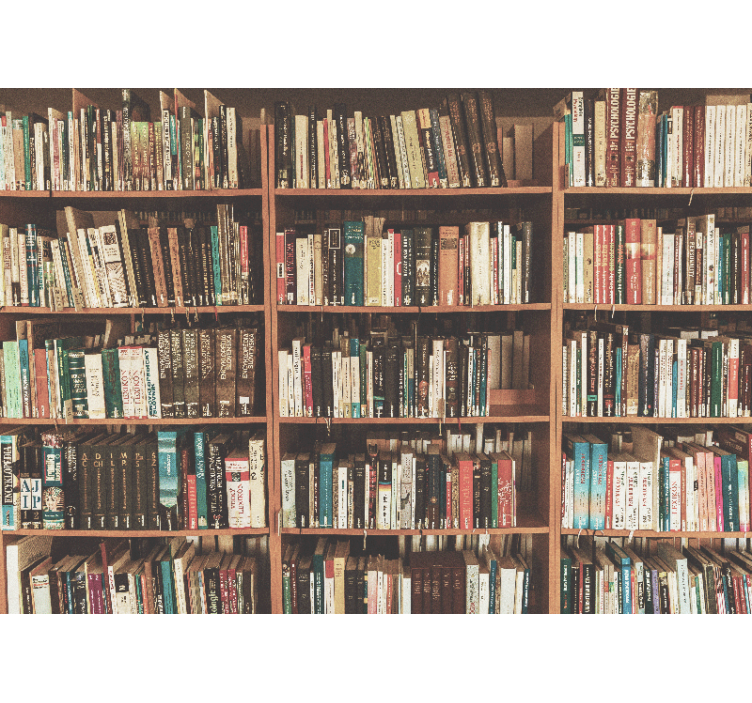 Painting wall mural bookshelf with literature - TenStickers