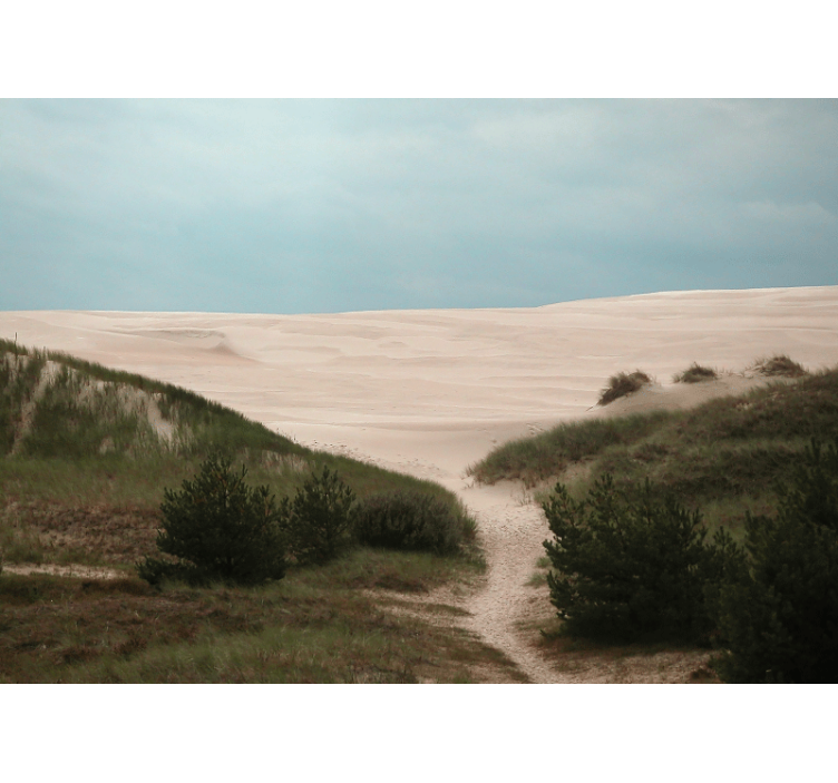 Landscape mural wallpaper sandy dune path - TenStickers