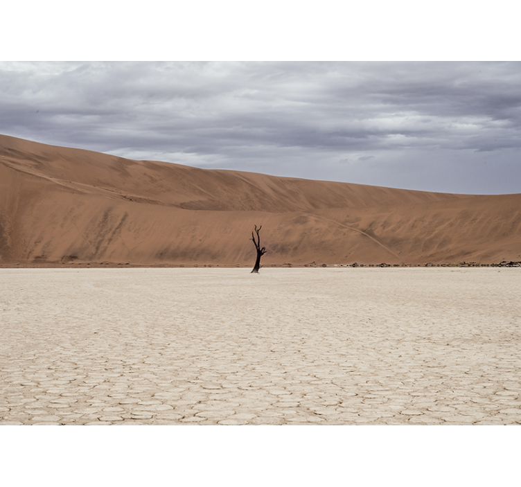 Mountain wall mural desert landscape view - TenStickers