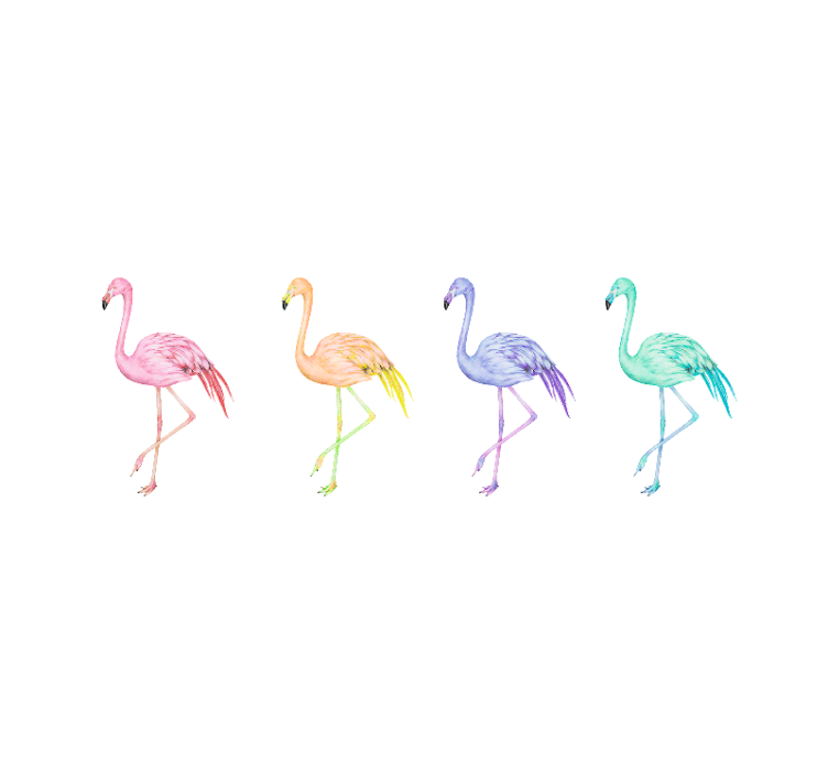 Colorful seamless flamingos  wall mural - TenStickers