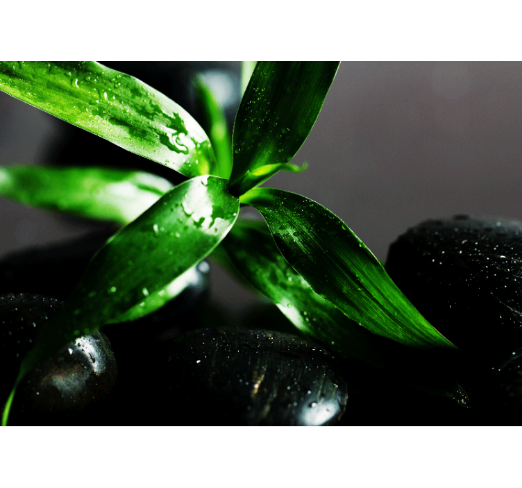 Nature wall mural fresh leaves design - TenStickers